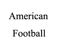 NFL audited logo for sports rain poncho
